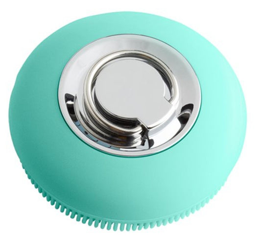 Sonic face and body brush