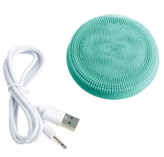 Sonic face and body brush